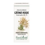 Extract of Red Catena buds, Tamarix, 50 ml, Plant Extrakt