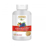 Antioxidant Star, 120 tablet, Ayurmed