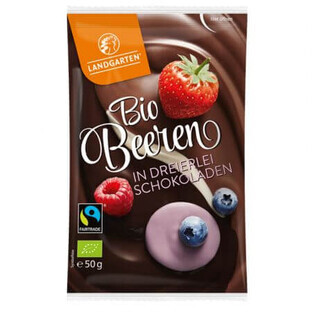 Berries in organic chocolate mix, 50g, Landgarten