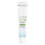 Dermedic Normacne Anti-Imperfection Night Cream, 40 ml