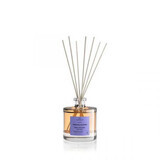 Raumduft mit Lavendel- und Rosmarinaroma Entspannender Lavendel Lavendel, 100 ml, Equivalenza