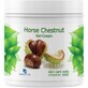 Chestnut Cream Gel for Muscle and Joint Pain, 500 ml, Hunca Kozmetik