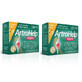 ArtroHelp Forte pack, 28+14 sachets, Zenyth