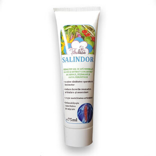Salindor gel type cream, 70 ml, Tibuleac Plant