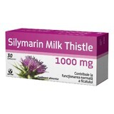 Silymarin Milk Thistle 1000mg, 30 capsules, Biofarm