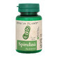 Spirulina, 60 comprimidos, Dacia Plant