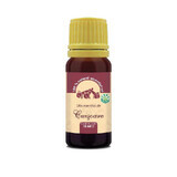 Clove essential oil, 10 ml, Herbavit