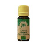 Australian tea tree essential oil, 10 ml, Herbavit