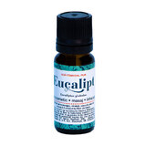 Eucalyptus essential oil, 10 ml, Divine Star