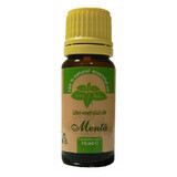 Peppermint essential oil, 10 ml, Herbavit