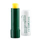 Sylveco, birch protective lipstick with betulin, 4.6 g