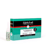 Treatment vials for the regeneration of areas affected by alopecia, 4 pieces, Nuggela&Sule