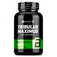 Tribulus Maximus 1500 mg, 90 tablets, Biotech USA