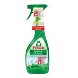 Frosch Glass Cleaner 500 ml