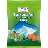 Fyto Pharma Candy Tatra bronchial mixture 60 g