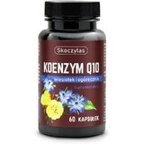 Skoczylas Coenzyme Q10, evening primrose and borage 60 capsules