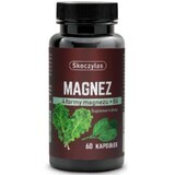 Skoczylas Magnesium 4 forms - spinach, kale 60 capsules