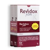 Pack Revidox DNA, 28+28 capsules, Actafarma