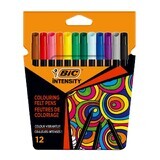 Coloring Markers P/12 Intensity, 12 pcs, BIC