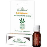 Cannaderm CANNADENT regenerating serum 1×5 ml, regenerating serum