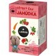 LEROS CHILDREN'S TEA JAHÔDKA 20×2g, tea