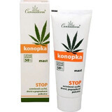 Cannaderm HEMP Ointment 1×75 g, hemp ointment