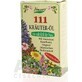 SPRING 111 KRÄUTER-ÖL 1×100 ml, herbal oil