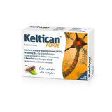Keltican Forte, 20 capsule