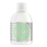 Kallos KJMN Algae Shampoo, 1000 ml