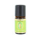 Spring Organic Cypress Essential Oil - Biolife 5ml