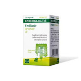 Enterolactis, 20 capsules, Sofar