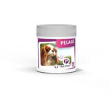 Ceva Pet Phos Coat Dog 50 Tablets
