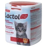 Kattenvoer Beaphar LACTOL Kitty Milk 500 g