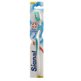 Signal Antiplaque Toothbrush Medium, 1 piece.