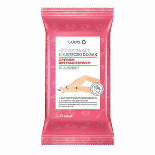 Luba, cleansing moistened hand wipes with antibacterial liquid, for women, 15 pieces