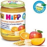 Tasty fruit puree with whole grains, +6 months, 190 g, Hipp