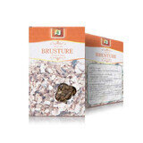 Burdock root tea, 50 g, Stef Mar Valcea