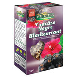Zwarte Bessen Thee, 75 g, Vedda