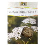 Mousetail tea, 50 g, Stef Mar Valcea