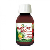 Gascure syrup, 100 ml, Ayurmed