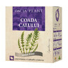 Horsetail, 50 g, Dacia Plant