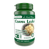 Lion's Mane, 60 capsules, Pro Natura