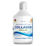Collagen Fluid Hydrolysate Type 1, 2 and 3 Active Life 5000 mg, 500 ml, Swedish Nutra