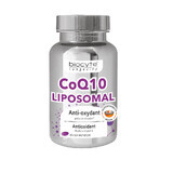 CoQ 10 Liposomal, 40 capsules, Biocyte