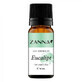 Eucalyptus essential oil, 10 ml, Zanna