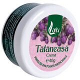Tataneasa Cream, 40 g, Larix