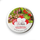 Balsamic earth butter cream, tansy and springy, 30 g, Tibuleac Plant