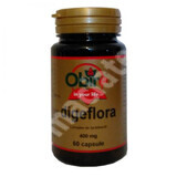 Digeflora, 60 capsules, Obire