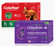 Celadrin Extract Forte, 60 capsules + ColaFast Collagen Rapid, 30 capsules, Good Days Therapy - gift