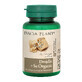 Yeast with organic Selenium, 60 tablets, Dacia Plant